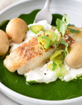 Closeup on pan seared Chilean sea bass with yogurt, green sauce and potatoes, topped with leeks and cilantro.