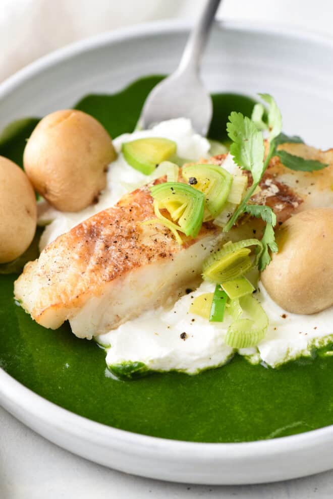 Closeup on chilean sea bass with yogurt, green sauce and potatoes, topped with leeks and cilantro.